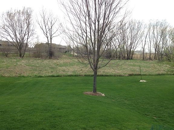 Lovely view from the sunporch