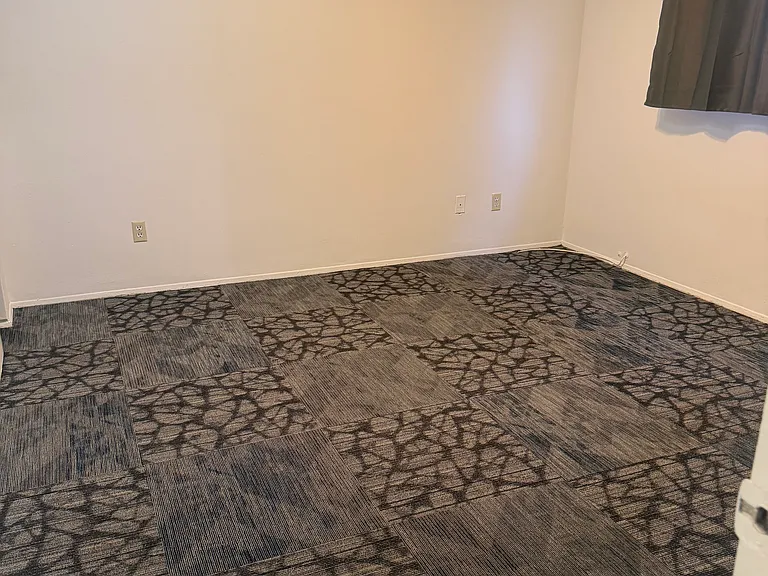 1014 Buena Vista St #5 — Photo 11