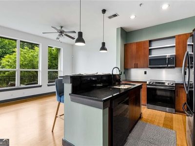 747 Ralph McGill Blvd NE Unit 223, Atlanta, GA, 30312