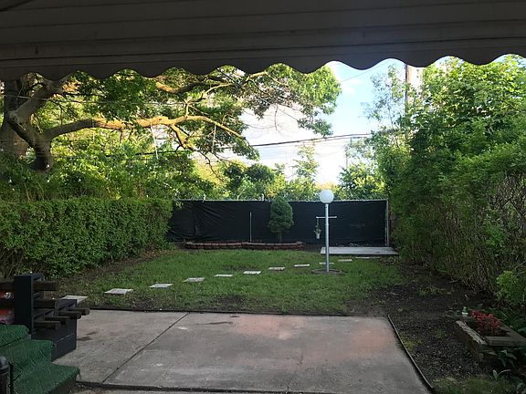 Backyard Day