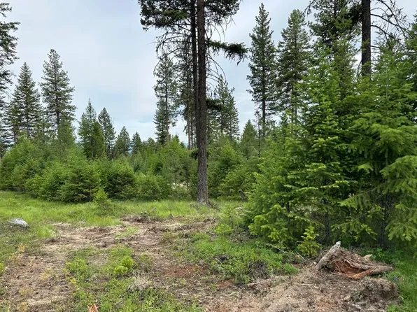 LOT-36XX Sheridan Rd #B, Republic, WA 99166