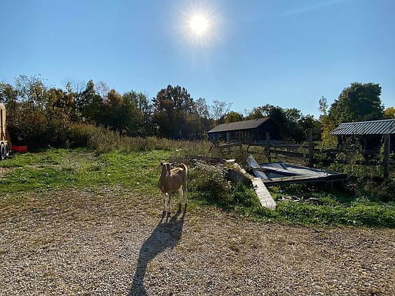 2nd image of 4587 Township Road 77