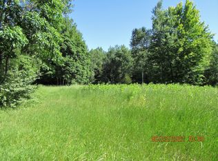 22482 Harris Rd, Brant, MI 48614