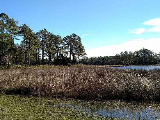 view of lot from neighbors