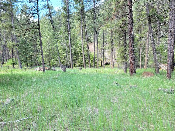 4th image of Tbd Evergreen Dr