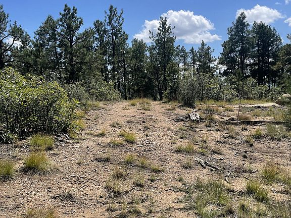 2nd image of County Road 37.5 Pkwy