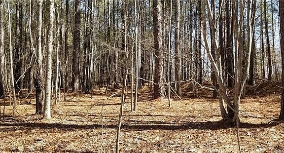 2nd image of 199 Windingwood Dr #10