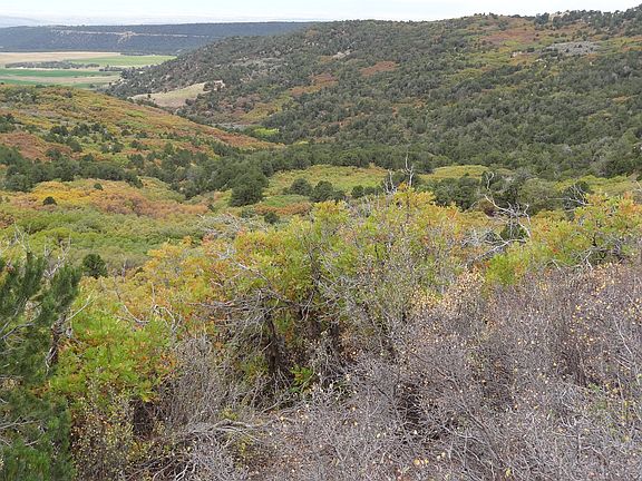 3rd image of Tbd 3100 Road Big Rock Rd