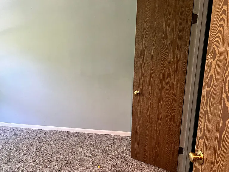 3212 Tapestry Cir — Photo 8