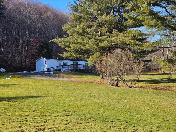 176 Shaw Rd, Conklin, NY 13748