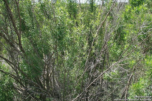 2nd image of 329 Bluebonnet Breeze
