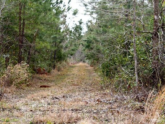 4th image of Ash Little River Road LOT 3
