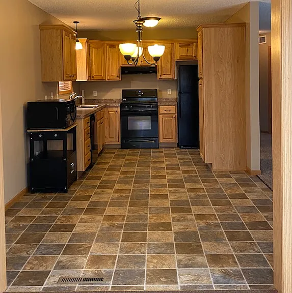 2319 Elianna Dr — Photo 3