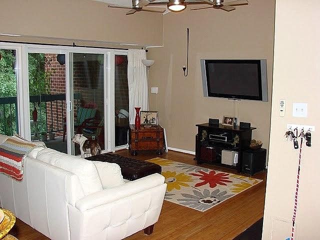Living Room includes cathedral ceilings, gas fireplace, balcony. Dog not included, but welcome :)