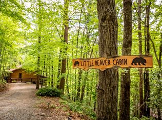 137 Little Beaver Dr, Cherry Log, GA 30522