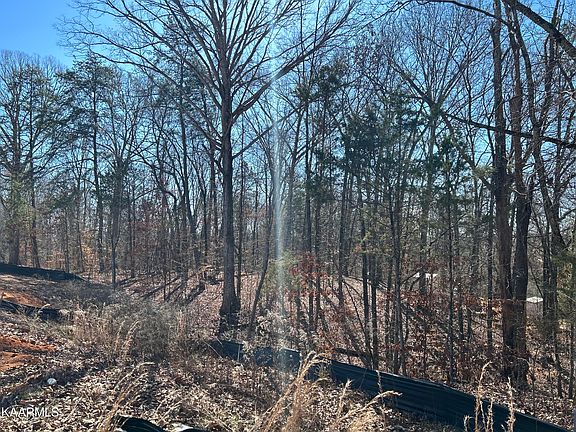 4th image of 11921 Cordial Ln