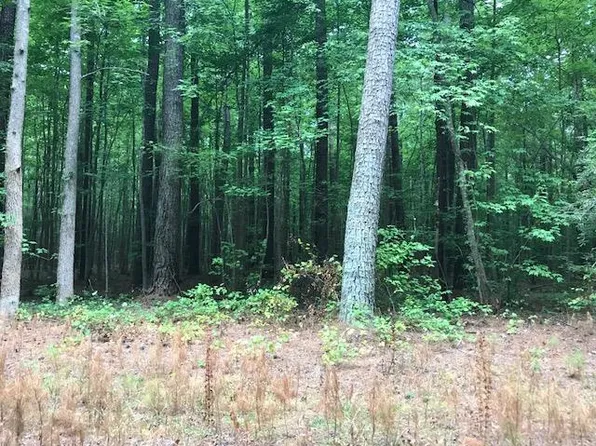 LOT 64 Hacksneck Rd, Painter, VA 23420
