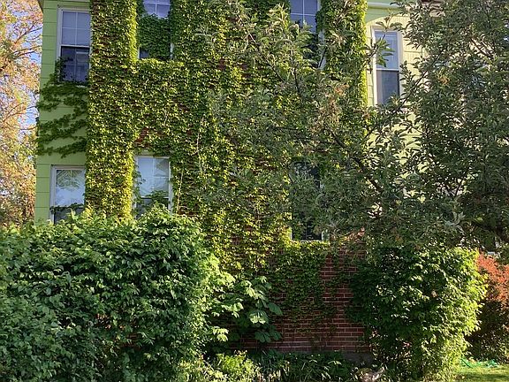 2nd image of 138 Richmond Ave #2