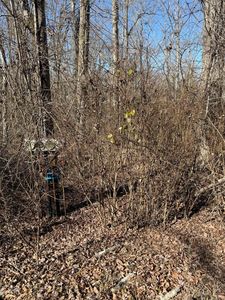122 Hickory Hollow Rd, Crossville, TN, 38572