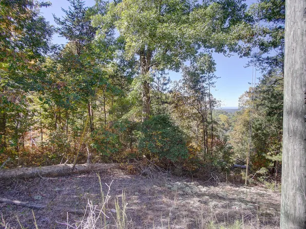 169 Jasmine Dr NE, Ranger, GA 30734