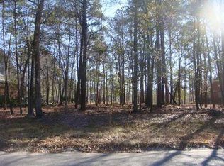 4217 Buck Creek Ct, Charleston, SC 29420