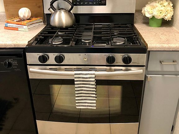 Stainless Steel Gas Cooktop