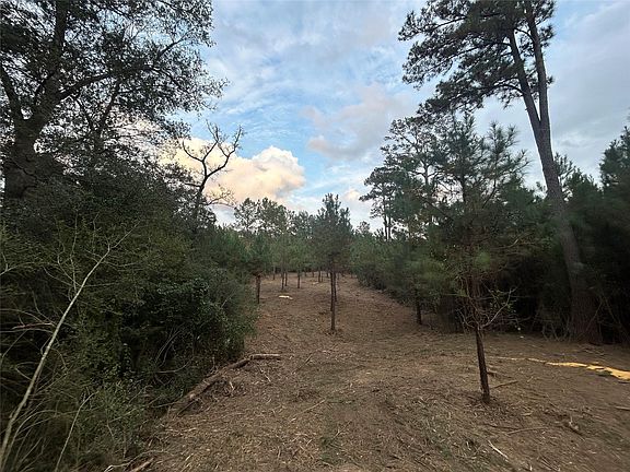 2nd image of TRACT 12 Fm 230 Lot 12