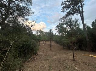TRACT 12 Fm 230 LOT 12, Lovelady, TX 75851