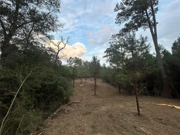 TRACT 12 Fm 230 Lot 12, Lovelady, TX 75851