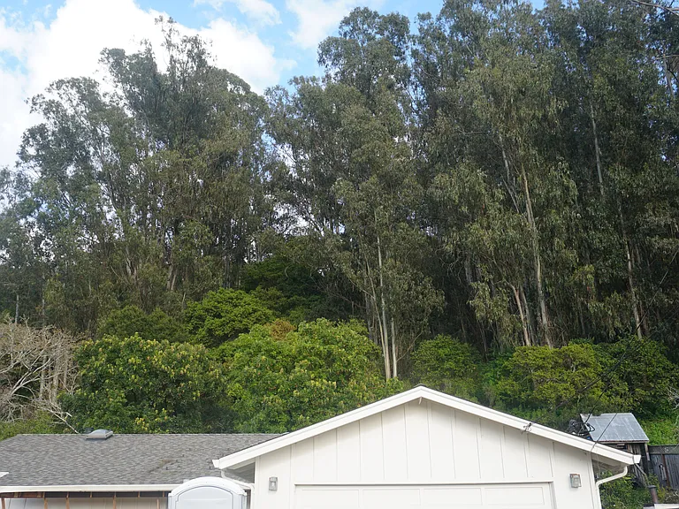 3460 Via Flores — Photo 30