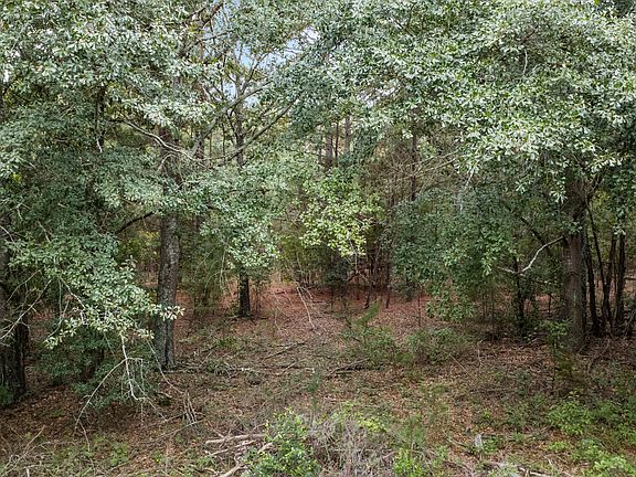 2nd image of 3908 Byrd Road