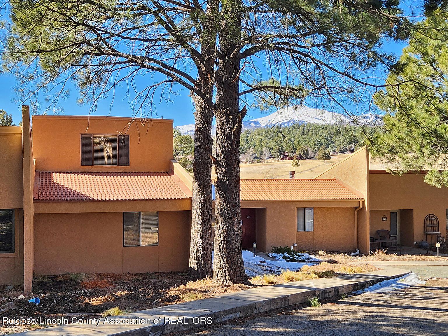 111 Bogie Ln #11