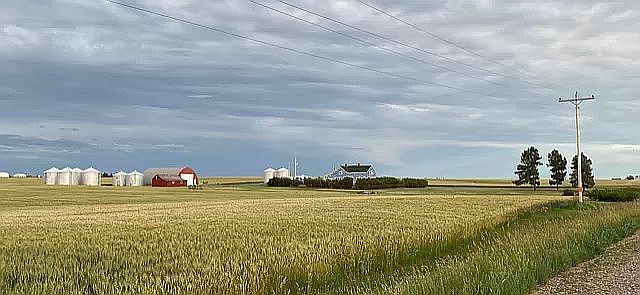 1st image of 8073 Brady Rd