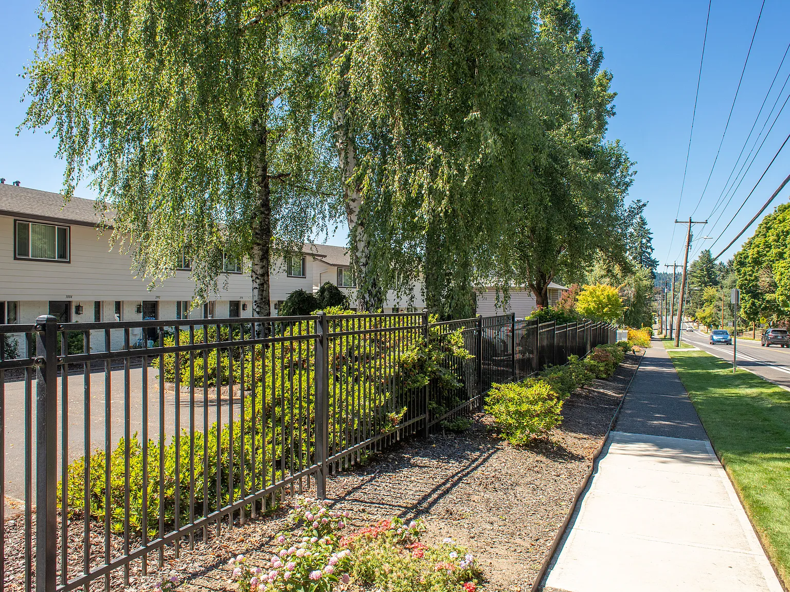 Chestnut Place Apartments — Photo 3