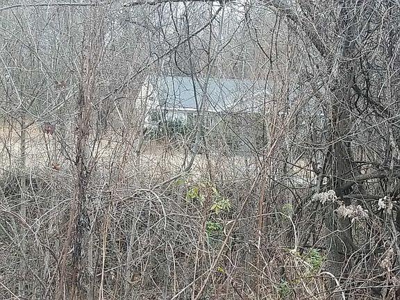 3rd image of 10359 Highway 51 N