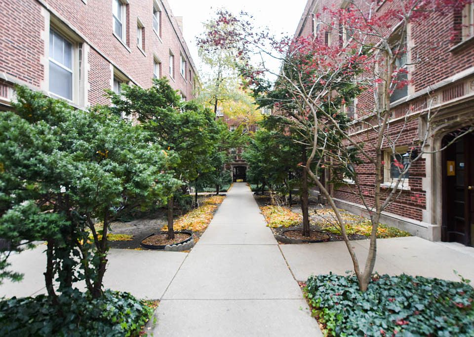 1st image of 521 W Brompton Ave #D811