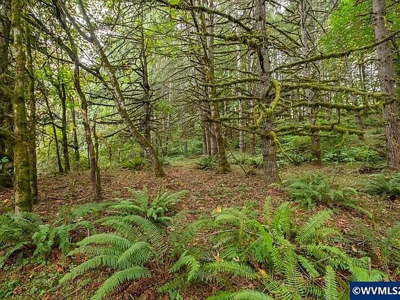 5th image of 16 Ridgetop Dr