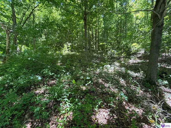 700 Knobs Rd, Battletown, KY 40104