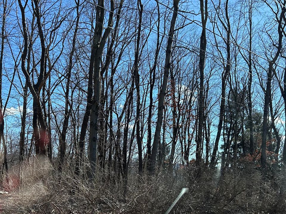 2nd image of Virginia Ave