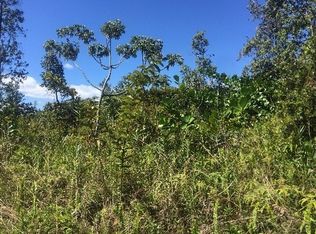 Amau Rd, Keaau, HI 96749