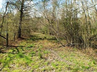 0 Doublehead Gap Rd #319, Blue Ridge, GA 30513