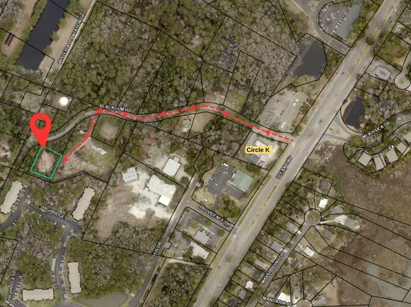 TBD Black Gum Rd., Pawleys Island, SC 29585