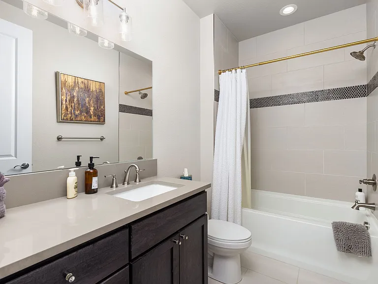 Lower level full bathroom
