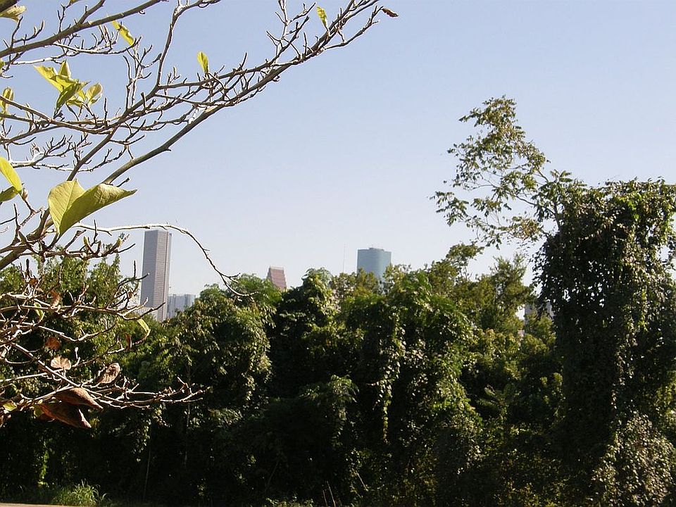 Downtown skyline is behind park