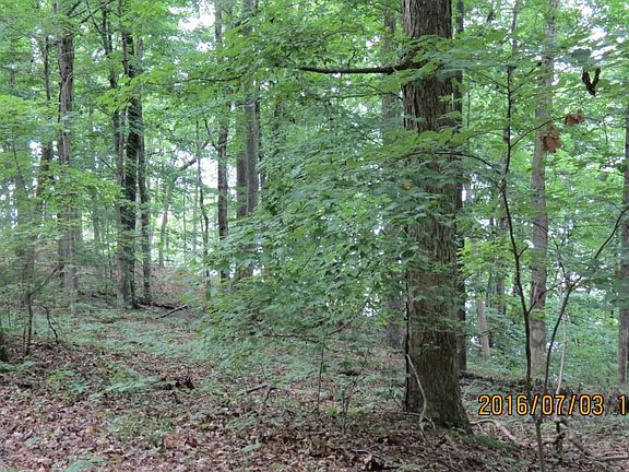 5th image of 0 Beechtree Cir Lot 6