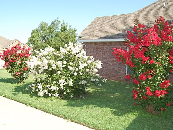 Driveway (couple of yrs ago)