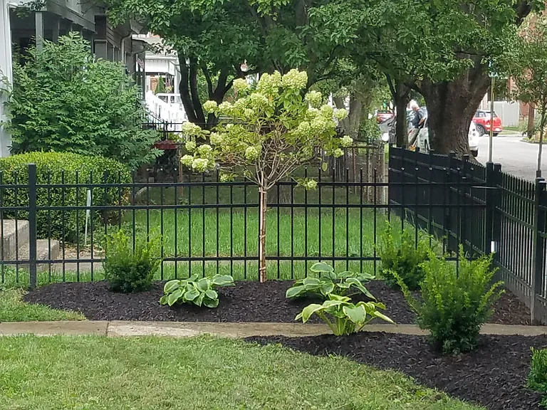366 E Mithoff St — Photo 38