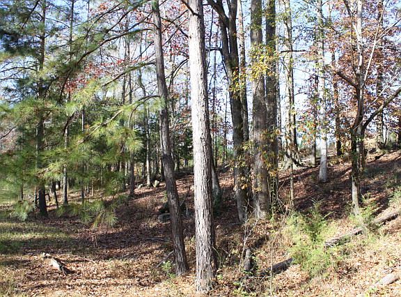 5th image of 4017 Nash Creek Dr