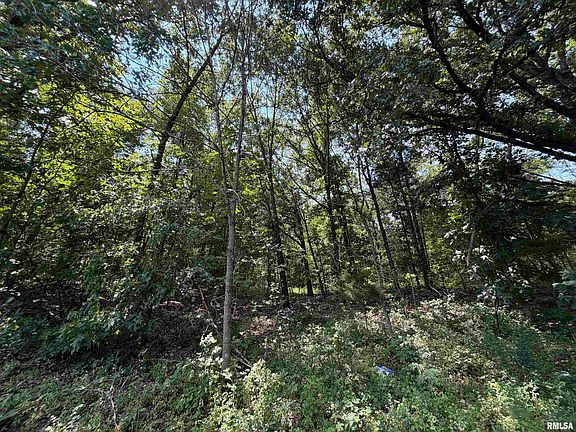 3rd image of County Road 0 Rd E