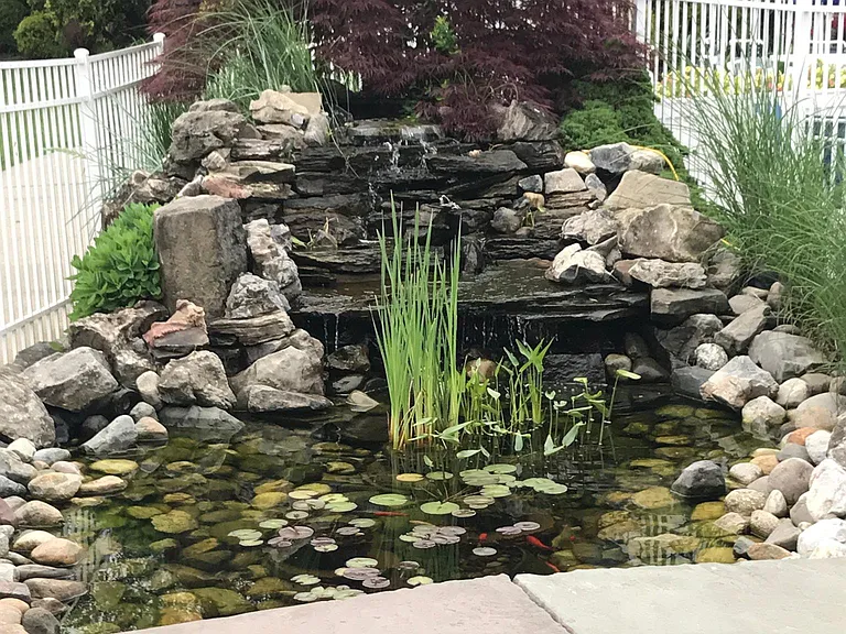 Fish Pond @ the Pool